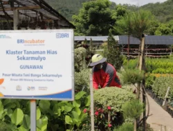 Portofolio Sustainable Finance BRI Tembus Rp796 Triliun, Terbesar di Indonesia