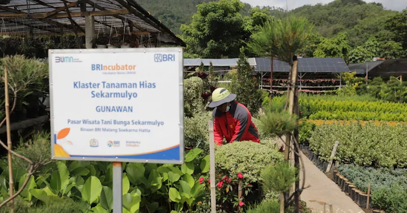 Portofolio Sustainable Finance BRI Tembus Rp796 Triliun, Terbesar di Indonesia