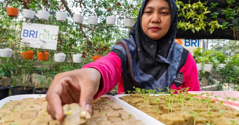 BRI Diakui atas Peran Nyata dalam Urban Farming dan Pemberdayaan Perempuan