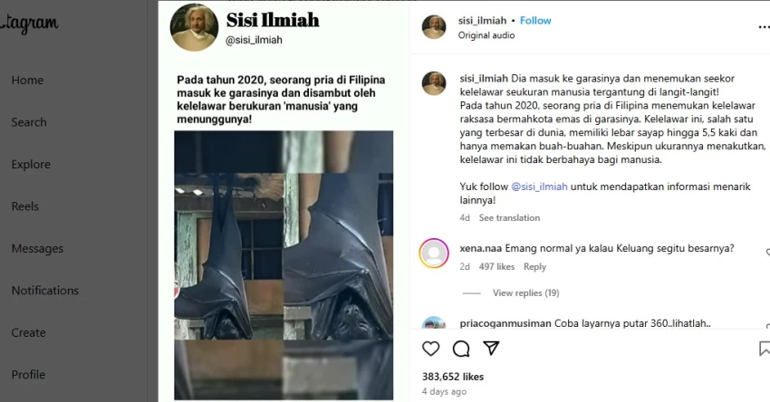 Cek Fakta: Pria di Filipina Temukan Kelelawar “Seukuran Manusia” Bermahkota Emas [Sebagian Benar]