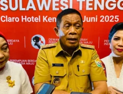 Wakil Gubernur Soroti Kesehatan Mental Milenial Usai Insiden di Jembatan Teluk Kendari