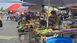 Harga Ayam di Kendari Naik: Ayam Kampung Capai Rp200 Ribu, Ayam Potong Rp85 Ribu 4 Harga Ayam di Kendari Naik: Ayam Kampung Capai Rp200 Ribu, Ayam Potong Rp85 Ribu