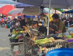 Harga Ayam di Kendari Naik: Ayam Kampung Capai Rp200 Ribu, Ayam Potong Rp85 Ribu