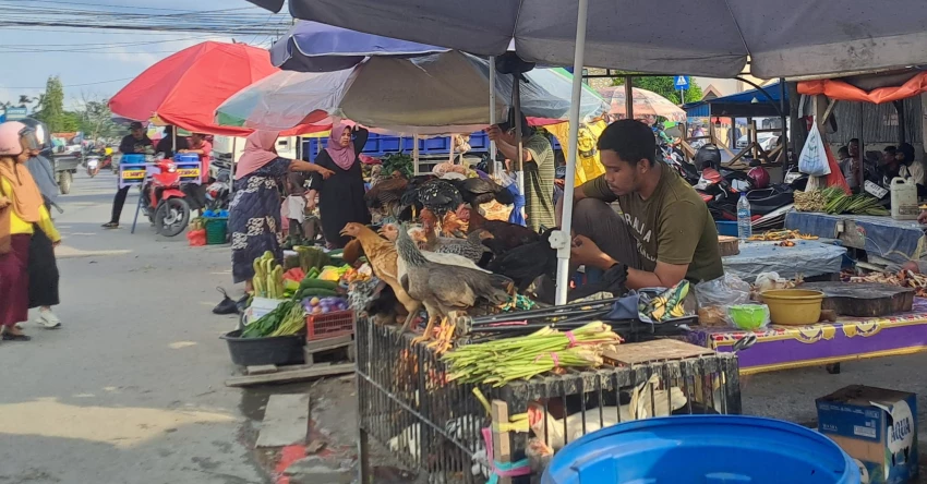Harga Ayam di Kendari Naik: Ayam Kampung Capai Rp200 Ribu, Ayam Potong Rp85 Ribu 1 Harga Ayam di Kendari Naik: Ayam Kampung Capai Rp200 Ribu, Ayam Potong Rp85 Ribu