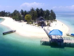 Bokori Kembali Bernapas: Menyusuri Jejak Lama, Merajut Harapan Baru