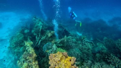 Kisah Bangkai Kapal Jepang di Laut Desa Kulati: Antara Sejarah dan Pesona Bawah Laut