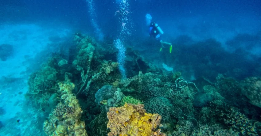 Kisah Bangkai Kapal Jepang di Laut Desa Kulati: Antara Sejarah dan Pesona Bawah Laut 1 Kisah Bangkai Kapal Jepang di Laut Desa Kulati: Antara Sejarah dan Pesona Bawah Laut
