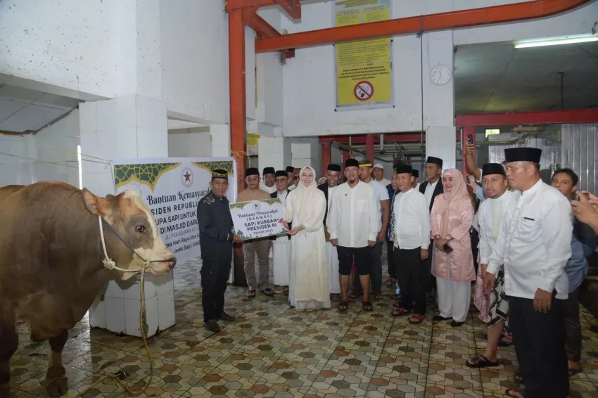 Hewan Kurban Presiden Prabowo Diterima Warga Kendari, Wali Kota Siska: Semoga Membawa Keberkahan 3 Hewan Kurban Presiden Prabowo Diterima Warga Kendari, Wali Kota Siska: Semoga Membawa Keberkahan