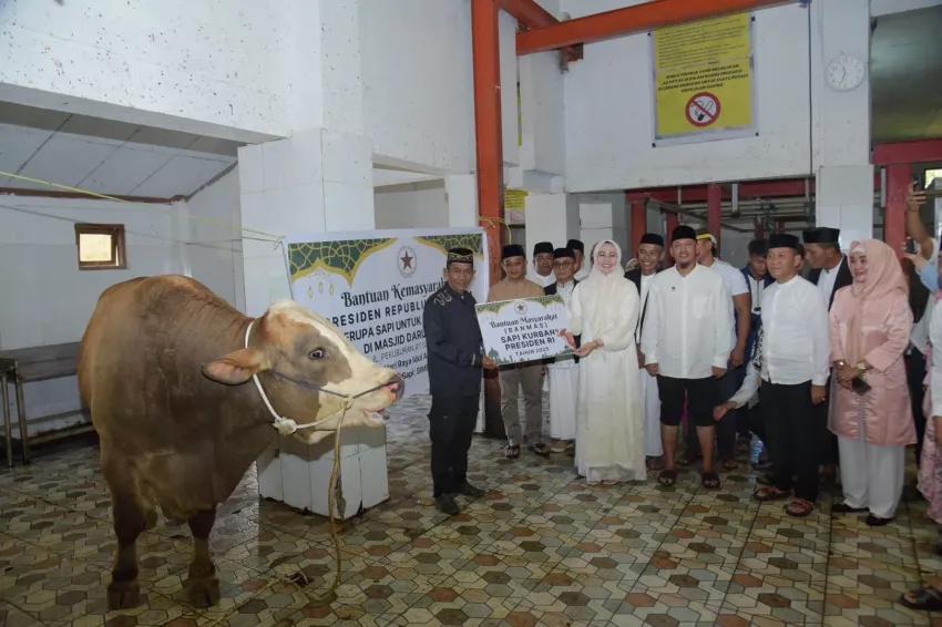 Hewan Kurban Presiden Prabowo Diterima Warga Kendari, Wali Kota Siska: Semoga Membawa Keberkahan