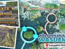 Misteri Kolam Ikan Purba di Wasuemba Buton, Warga Tak Berani Tangkap