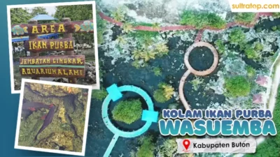 Misteri Kolam Ikan Purba di Wasuemba Buton, Warga Tak Berani Tangkap