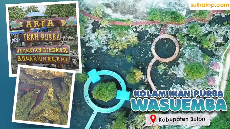 Misteri Kolam Ikan Purba di Wasuemba Buton, Warga Tak Berani Tangkap 1 Kolam Ikan Purba di Wasuemba Buton ok