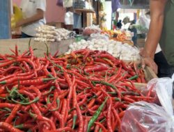 Update Harga Sayuran Juli 2025: Cabai dan Tomat Naik, Bawang Mulai Stabil