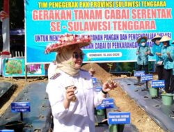 Respons Harga Cabai Naik, PKK Sultra Tanam 9.200 Bibit, Wali Kota Kendari Beri Dukungan