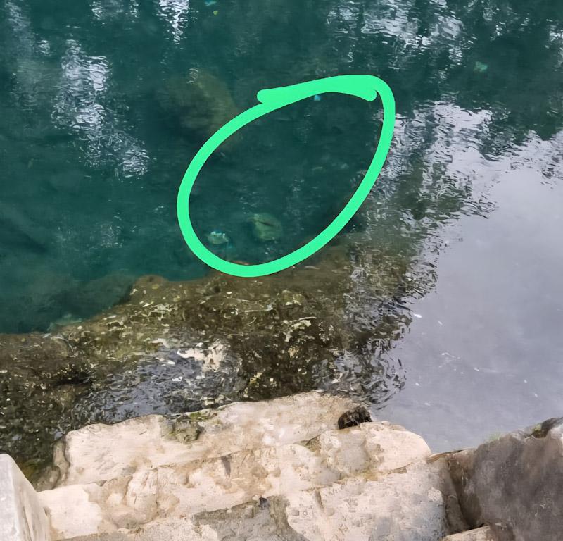 Seorang Remaja Putri Tewas Tenggelam di Permandian Wakante 3 Seorang Remaja Putri Tewas Tenggelam di Permandian Wakante