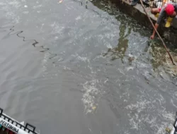 Peduli Lingkungan, Pertamina Patra Niaga Sulawesi Pasang Trash Barrier di Sungai Pasar Lakessi