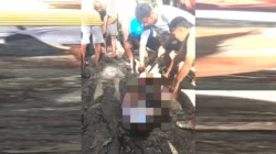 Petani Buton Selatan Dimangsa Piton, Warga Temukan Tubuh di Perut Ular 3 Petani Buton Selatan Dimangsa Piton, Warga Temukan Tubuh di Perut Ular
