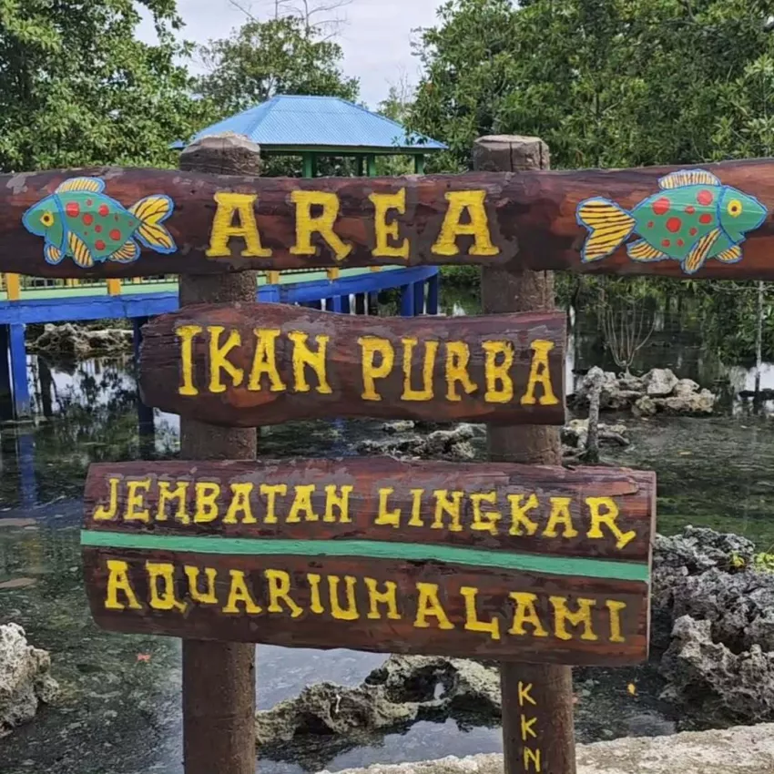 Misteri Kolam Ikan Purba di Wasuemba Buton, Warga Tak Berani Tangkap