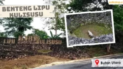 Misteri Kerang Raksasa dan Sejarah Benteng Kulisusu di Buton Utara 14 Misteri Kerang Raksasa dan Sejarah Benteng Kulisusu di Buton Utara