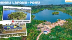 Jejak Penyu dan Misteri Pulau di Tengah Danau Laponu-ponu 10 Danau Laponu-ponu di Desa Ranokomea, Kecamatan Poleang Barat, Kabupaten Bombana.