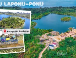 Jejak Penyu dan Misteri Pulau di Tengah Danau Laponu-ponu