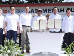 BRI Dukung Program Sapi Merah Putih, Dorong Swasembada Pangan Nasional