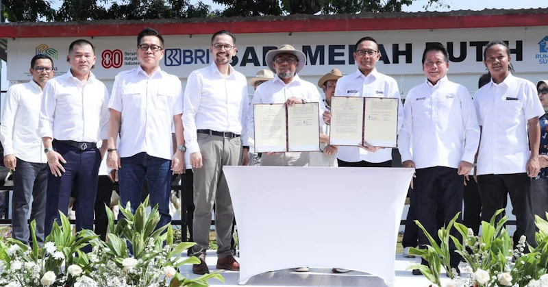 BRI Dukung Program Sapi Merah Putih, Dorong Swasembada Pangan Nasional 1 BRI Dukung Program Sapi Merah Putih, Dorong Swasembada Pangan Nasional