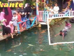 Dulu Tempat Rendam Ubi Beracun, Kini Wakante Jadi Primadona Wisata di Muna Barat