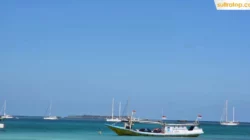 Sail to Indonesia di Wakatobi, Kapal-kapal Mancanegara Disambut Pengamanan Ketat Polisi 11 Sail to Indonesia di Wakatobi, Kapal-kapal Mancanegara Disambut Pengamanan Ketat Polisi