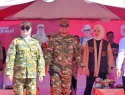 Karnaval Juang Warnai HUT ke-80 RI di Kendari, Atraksi OPD Curi Perhatian