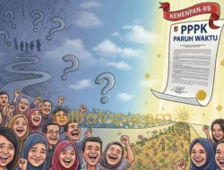 Nasib 3.146 Honorer Kendari: Masuk Usulan PPPK Paruh Waktu