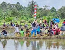 Festival Mancing dan Tangkap Ikan Meriahkan HUT Muna Barat ke-11 di Desa Lakabu