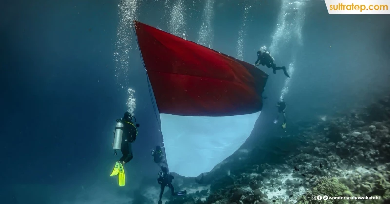 Rayakan HUT ke-80 RI, Pertamina Patra Niaga Bentangkan Bendera Raksasa di Spot Bawah Laut Ikonik Wakatobi 1 Rayakan HUT ke-80 RI, Pertamina Patra Niaga Bentangkan Bendera Raksasa di Spot Bawah Laut Ikonik Wakatobi