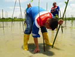 Pertamina Patra Niaga Tanam 1.000 Mangrove di Cagar Alam Panua, Dukung Konservasi & Pemberdayaan Masyarakat