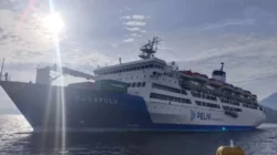 Tiba Tiga Kali di Baubau, Ini Rute Lengkap KM Nggapulu Agustus 2025 3 Tiba Tiga Kali di Baubau, Ini Rute Lengkap KM Ngapulu Agustus 2025