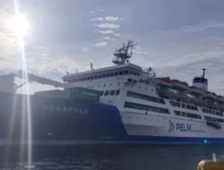 Tiba Tiga Kali di Baubau, Ini Rute Lengkap KM Nggapulu Agustus 2025