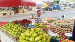 Manfaatkan KUR BRI, Pedagang Nanas Ini Sukses Kembangkan Produk Olahan yang Diminati Pasar 9 Manfaatkan KUR BRI, Pedagang Nanas Ini Sukses Kembangkan Produk Olahan yang Diminati Pasar