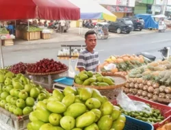 Manfaatkan KUR BRI, Pedagang Nanas Ini Sukses Kembangkan Produk Olahan yang Diminati Pasar