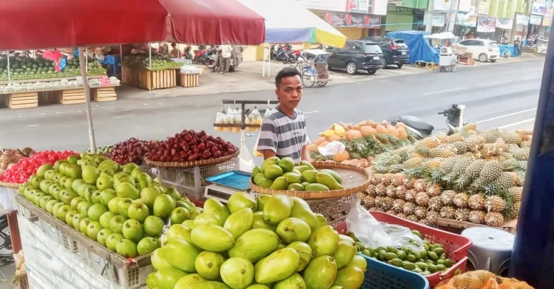 Manfaatkan KUR BRI, Pedagang Nanas Ini Sukses Kembangkan Produk Olahan yang Diminati Pasar 1 Manfaatkan KUR BRI, Pedagang Nanas Ini Sukses Kembangkan Produk Olahan yang Diminati Pasar