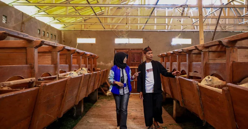 BRI Dorong UMKM Naik Kelas, 574 Ribu Nasabah KUR Sukses Tingkatkan Skala Usaha