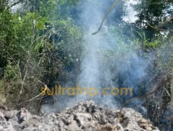 Peringatan BMKG: Suhu Tinggi di Kendari Tingkatkan Risiko Kebakaran Lahan