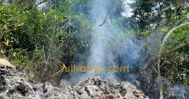 Peringatan BMKG: Suhu Tinggi di Kendari Tingkatkan Risiko Kebakaran Lahan