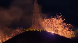 Kebakaran Alang-Alang Kembali Terjadi di Bungkutoko Kendari, Dekat Tower SUTET 9 Kebakaran Alang-Alang Kembali Terjadi di Bungkutoko Kendari, Dekat Tower SUTET