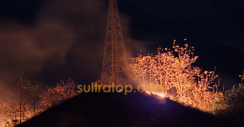 Kebakaran Alang-Alang Kembali Terjadi di Bungkutoko Kendari, Dekat Tower SUTET 1 Kebakaran Alang-Alang Kembali Terjadi di Bungkutoko Kendari, Dekat Tower SUTET