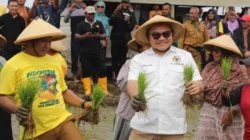 Hari Tani Nasional, Jaelani Peringatkan Risiko Krisis Jika Pertanian Tanpa Peta Jalan 13 Hari Tani Nasional, Jaelani Peringatkan Risiko Krisis Jika Pertanian Tanpa Peta Jalan
