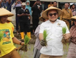 Hari Tani Nasional, Jaelani Peringatkan Risiko Krisis Jika Pertanian Tanpa Peta Jalan