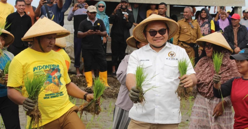 Hari Tani Nasional, Jaelani Peringatkan Risiko Krisis Jika Pertanian Tanpa Peta Jalan 1 Hari Tani Nasional, Jaelani Peringatkan Risiko Krisis Jika Pertanian Tanpa Peta Jalan