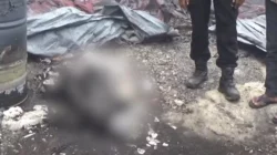 Pabrik Ban Bekas di Konawe Selatan Terbakar Hebat, Satu Pekerja Tewas Terjebak 10 Pabrik Ban Bekas di Konawe Selatan Terbakar Hebat, Satu Pekerja Tewas Terjebak
