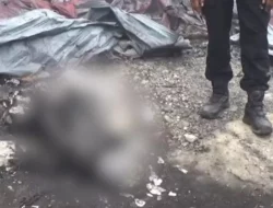 Pabrik Ban Bekas di Konawe Selatan Terbakar Hebat, Satu Pekerja Tewas Terjebak