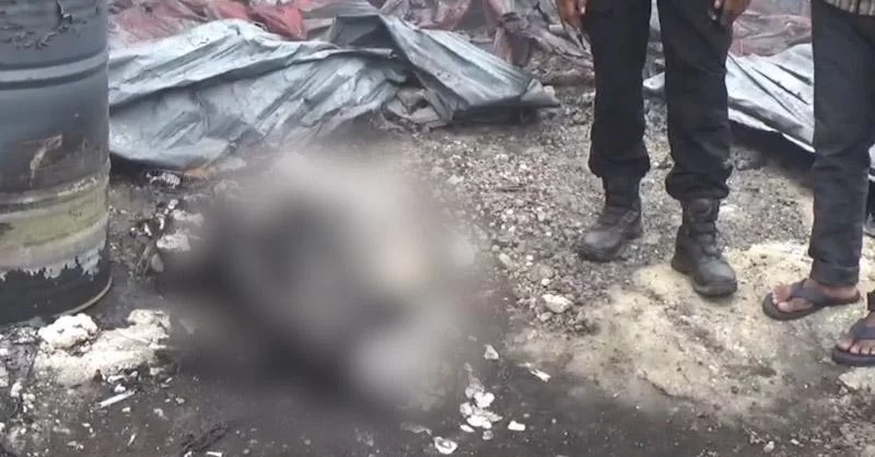 Pabrik Ban Bekas di Konawe Selatan Terbakar Hebat, Satu Pekerja Tewas Terjebak 1 Pabrik Ban Bekas di Konawe Selatan Terbakar Hebat, Satu Pekerja Tewas Terjebak